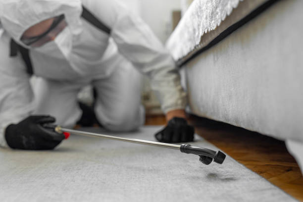 Professional Ant Control technician working in Union County County, KY